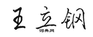 駱恆光王立鋼行書個性簽名怎么寫