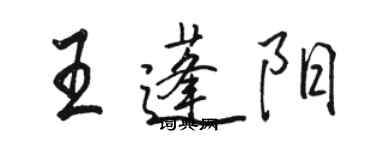 駱恆光王蓬陽行書個性簽名怎么寫