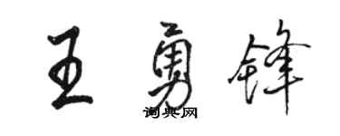 駱恆光王勇鋒行書個性簽名怎么寫