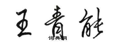駱恆光王青能行書個性簽名怎么寫