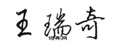 駱恆光王瑞奇行書個性簽名怎么寫