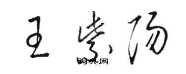 駱恆光王紫陽草書個性簽名怎么寫