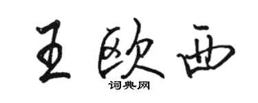 駱恆光王歐西行書個性簽名怎么寫