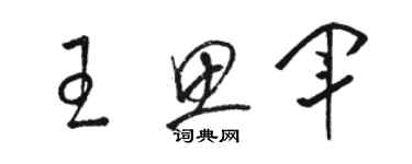 駱恆光王思軍草書個性簽名怎么寫