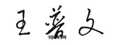 駱恆光王普文草書個性簽名怎么寫