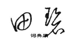 駱恆光田碧草書個性簽名怎么寫