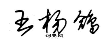 朱錫榮王楊鴿草書個性簽名怎么寫