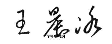 駱恆光王晨冰草書個性簽名怎么寫