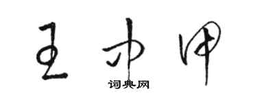 駱恆光王中甲草書個性簽名怎么寫