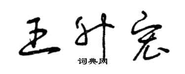 曾慶福王升宏草書個性簽名怎么寫