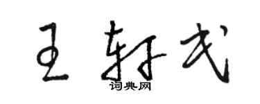 駱恆光王軒民草書個性簽名怎么寫