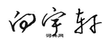 駱恆光向宇軒草書個性簽名怎么寫