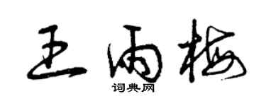 曾慶福王雨梅草書個性簽名怎么寫