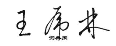 駱恆光王虎林草書個性簽名怎么寫