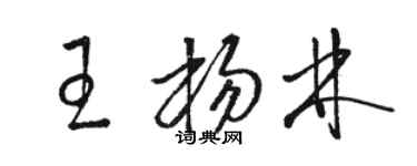 駱恆光王楊林草書個性簽名怎么寫