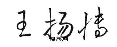 駱恆光王揚博草書個性簽名怎么寫