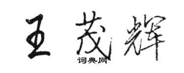 駱恆光王茂輝行書個性簽名怎么寫