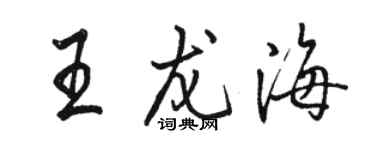 駱恆光王龍海行書個性簽名怎么寫