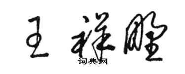 駱恆光王祥野草書個性簽名怎么寫