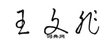 駱恆光王文非草書個性簽名怎么寫