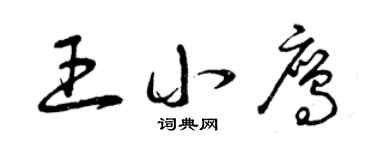 曾慶福王小鷹草書個性簽名怎么寫