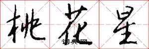 錢沛雲桃花星行書怎么寫