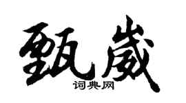 胡問遂甄崴行書個性簽名怎么寫