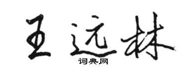 駱恆光王遠林行書個性簽名怎么寫