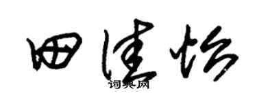 朱錫榮田佳怡草書個性簽名怎么寫