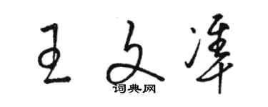 駱恆光王文準草書個性簽名怎么寫