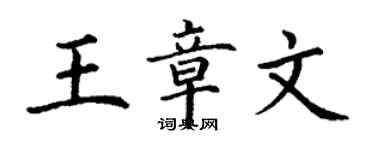 丁謙王章文楷書個性簽名怎么寫
