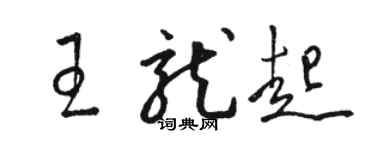 駱恆光王龍起草書個性簽名怎么寫