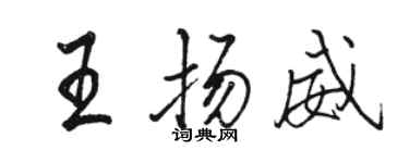 駱恆光王揚威行書個性簽名怎么寫