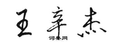 駱恆光王辛傑行書個性簽名怎么寫