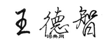 駱恆光王德智行書個性簽名怎么寫