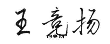 駱恆光王競揚行書個性簽名怎么寫