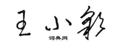 駱恆光王小彩草書個性簽名怎么寫
