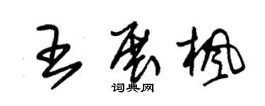 朱錫榮王展楓草書個性簽名怎么寫