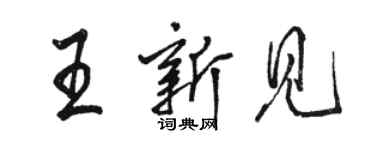 駱恆光王新見行書個性簽名怎么寫