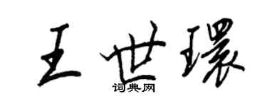 王正良王世環行書個性簽名怎么寫