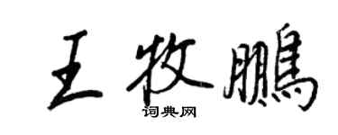 王正良王牧鵬行書個性簽名怎么寫