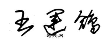 朱錫榮王運鴿草書個性簽名怎么寫