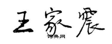 曾慶福王家震行書個性簽名怎么寫