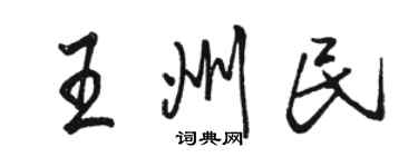 駱恆光王州民行書個性簽名怎么寫