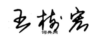 朱錫榮王樹宏草書個性簽名怎么寫