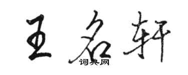 駱恆光王名軒行書個性簽名怎么寫