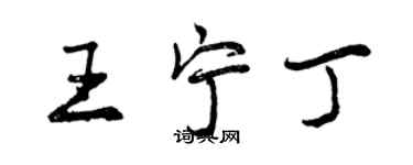 曾慶福王寧丁行書個性簽名怎么寫