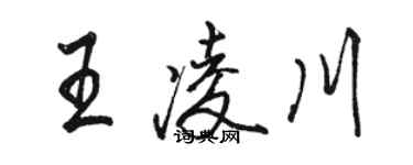 駱恆光王凌川行書個性簽名怎么寫