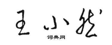 駱恆光王小然草書個性簽名怎么寫