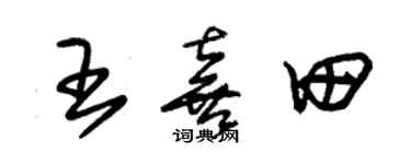 朱錫榮王喜田草書個性簽名怎么寫